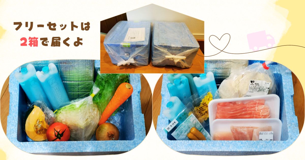 ヨシケイのフリーセットは冷蔵と冷凍の2箱で届く届く